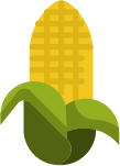 MK City Frucht