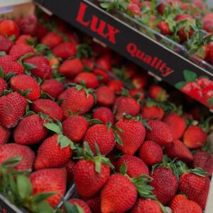 491465263_17856629247410399_5329568958917797441_n.
