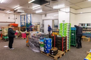 Blick in die Logistikhalle des Fruchthandels MK City in Berlin mit palettierten Obst- und Gemüsekisten für die Gastronomie-Belieferung.