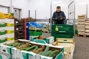Mitarbeiter dokumentiert mit Klemmbrett den Bestand an frischen Salatgurken und Gemüse im Großhandelslager in Berlin.