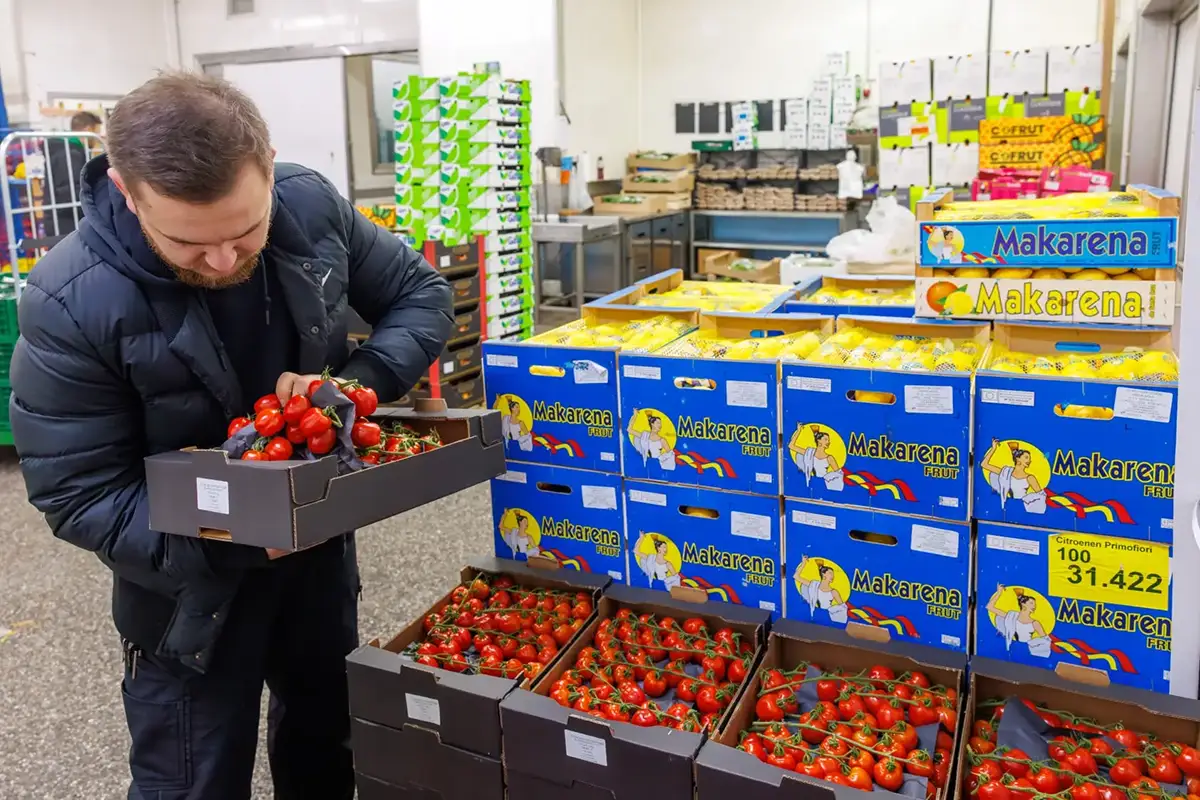 Ein Mitarbeiter von MK City Frucht kontrolliert eine Kiste frischer roter Strauchtomaten vor Stapeln von Zitronenkisten im Großmarkt-Lager.