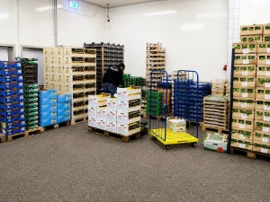 Mitarbeiter sortiert frisch angelieferte Zitronen und Blattsalate im Großlager der MK City Frucht Handels GmbH in Berlin-Moabit.