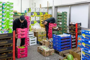 Mitarbeiter bewegen bunte Transportkisten mit Äpfeln, Limetten und Bananen in der Frischehalle des Berliner Großmarkts.