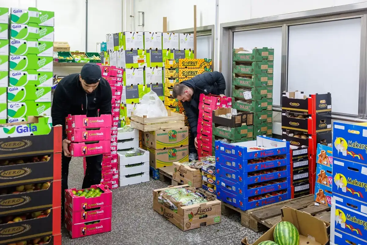 MK City Frucht
